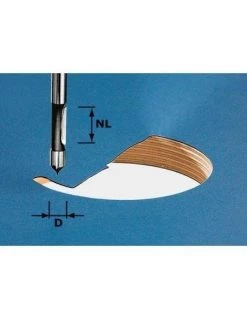 Fraise De Perçage HW Avec Queue De 8mm HW S8 D8/19 - Festool | IFD Outillage